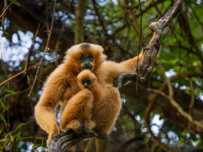 Dalat to Cat Tien National Park & Saigon (3 Days) - Inclusions and Exclusions