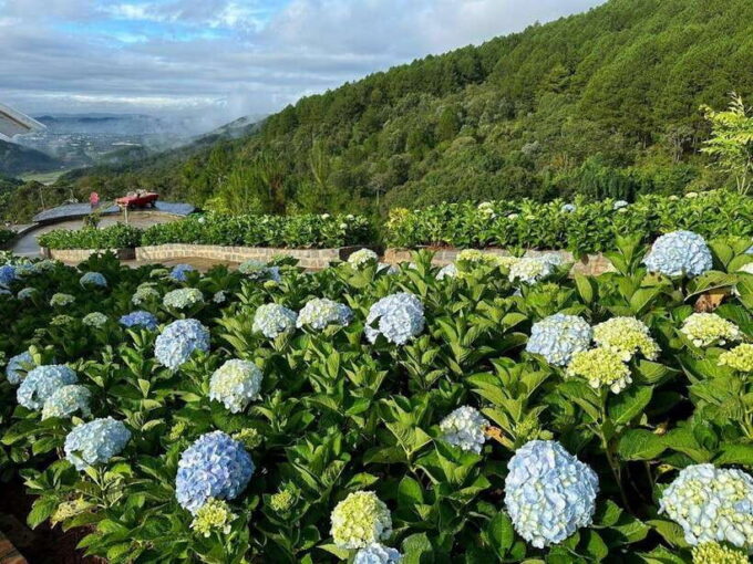 Dalat: Top Attractions Visit Day Tour - Dalat Railway Station