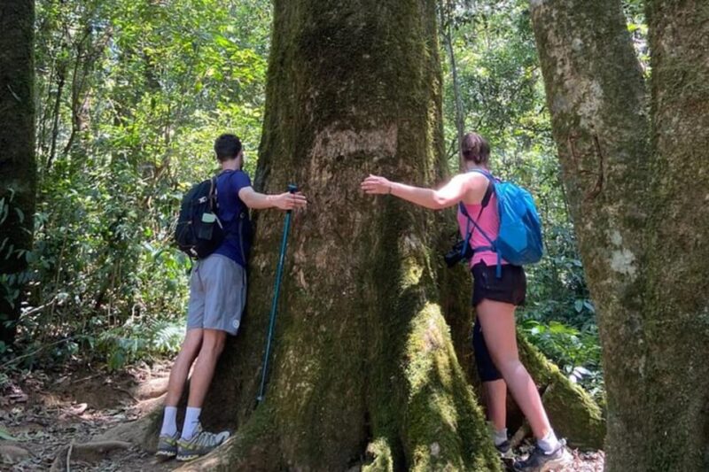 DaLat: Trek on Langbiang Mountain - Itinerary Highlights