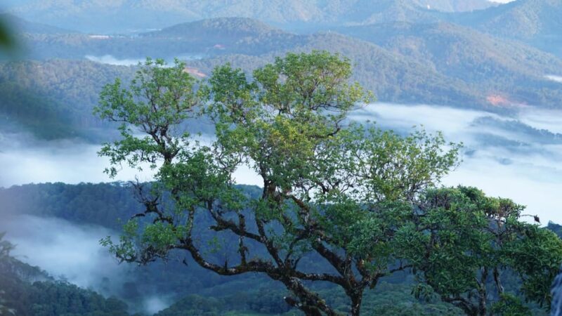 Dalat Trekking to Langbiang Mt - Cancellation Policy