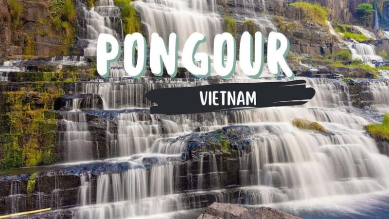 Dalat: Waterfalls, Pagoda, and Bee Farm Day Tour - Key Points