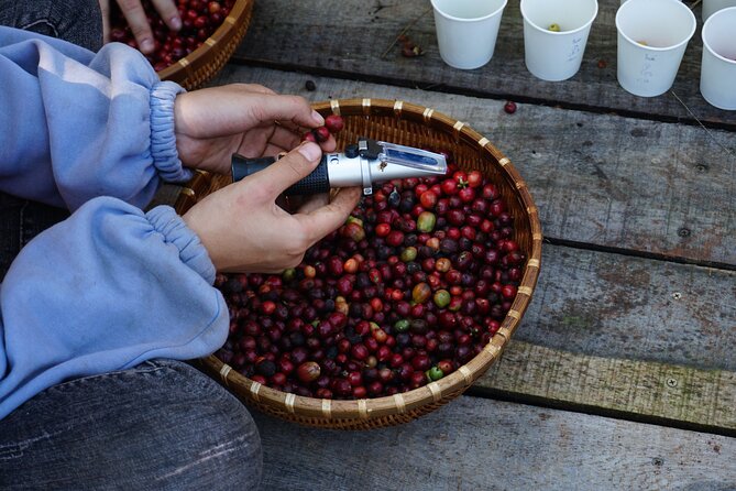 Dalats Countryside|Coffee Plantations Tour Beyond Elephant Falls - Included Amenities
