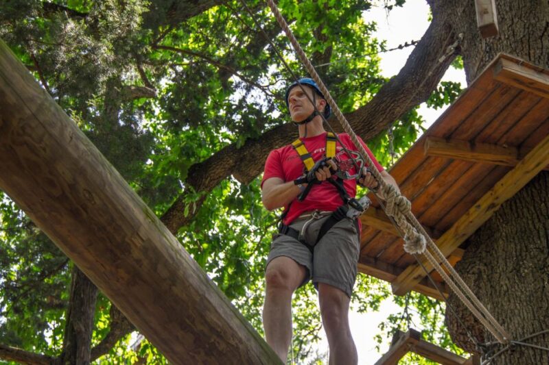 Dallas: Aerial Adventure Course Park Pass - Key Points