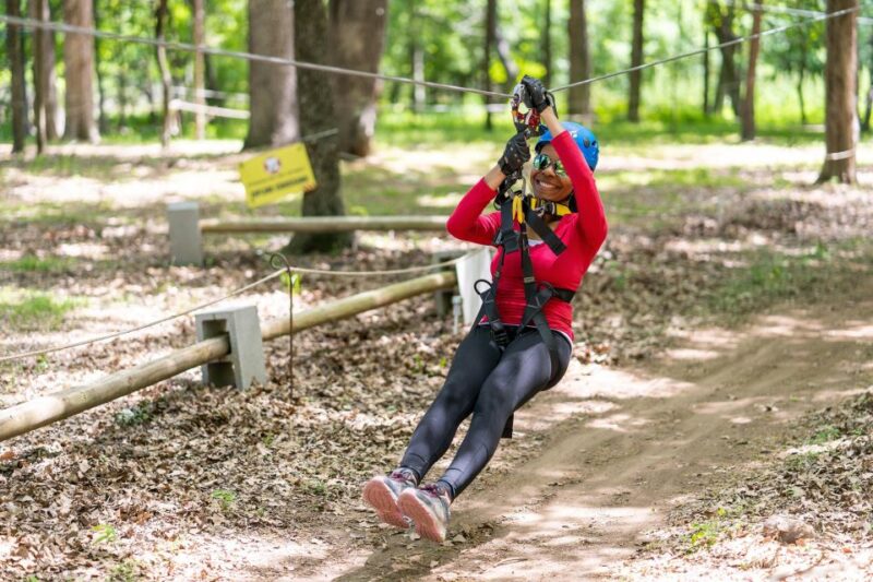 Dallas: Aerial Adventure Course Park Pass - Highlights