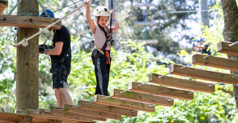 Dallas: Aerial Adventure Course Park Pass - Meeting Point