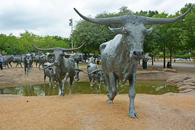 Dallas and JFK Cruizer Tour - Reviews