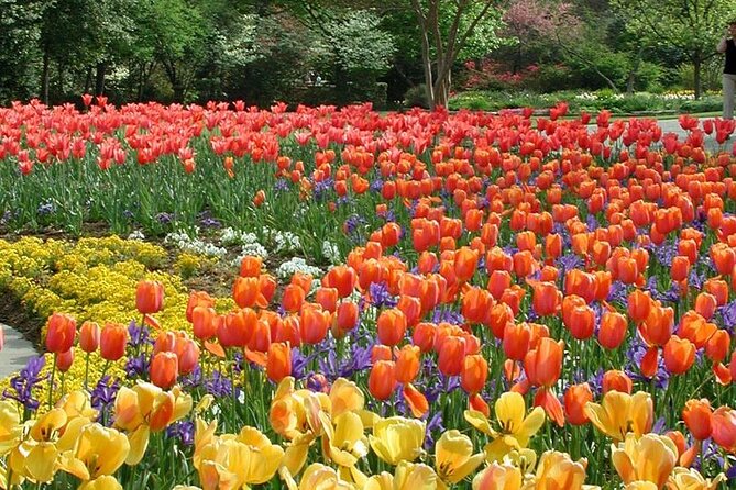 Dallas Arboretum and Botanical Gardens Tour - Transportation and Pickup Details