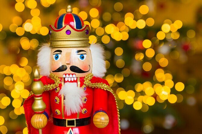 Dallas Christmas Lights Tour - Key Points