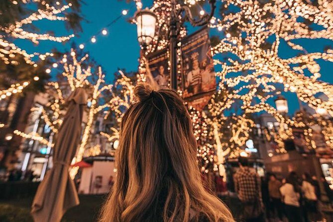 Dallas Christmas Lights Tour - The Itinerary in Detail: What You Can Expect
