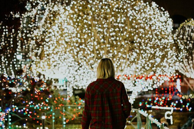 Dallas Christmas Lights Tour - FAQs