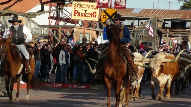 Dallas: City & Fort Worth Combination Tour - Breakdown of the Itinerary and Highlights