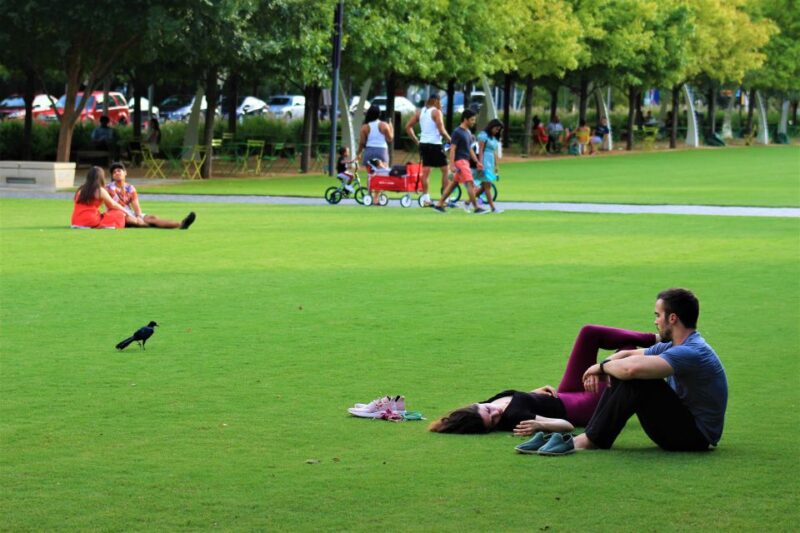 Dallas: City Highlights Guided Walking Tour - Experience Highlights
