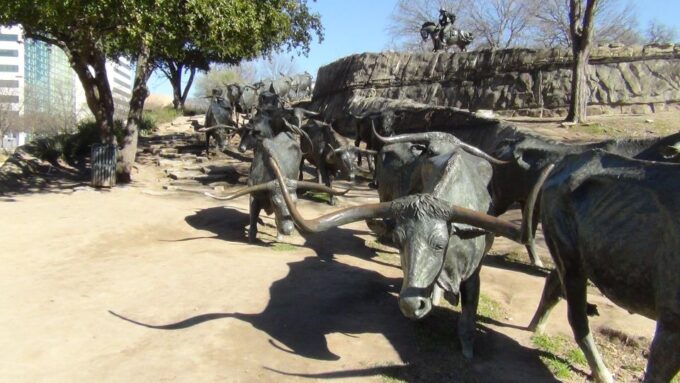 Dallas: Dallas & Fort Worth Combination City Tour - Getting to the Meeting Point