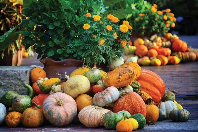 Dallas Highlights & Arboretum - Botanical Gardens Combo Tour - Health and Accessibility