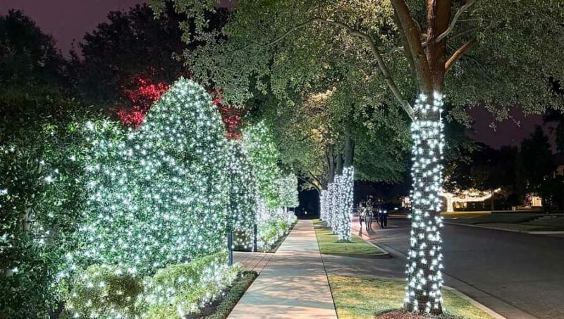 Dallas: Holiday Lights Tour Highland Park - What Reviews Say About the Experience