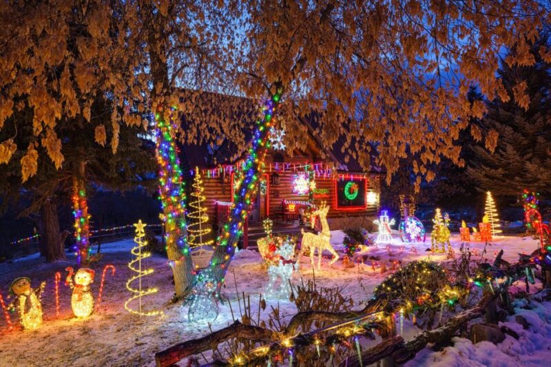 Dallas Holiday Splendor: A Festive Walk - Booking Information
