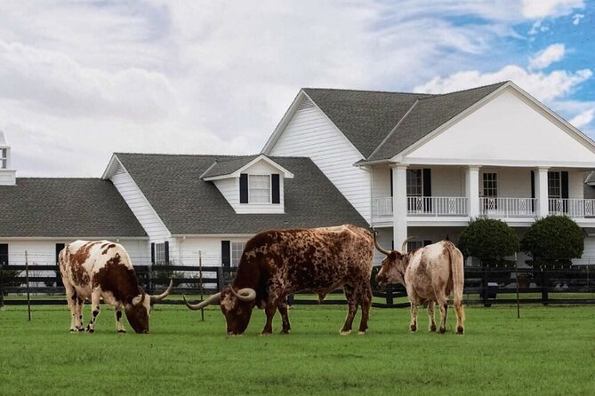 Dallas Southfork Ranch Private Limousine Tour - Booking and Availability