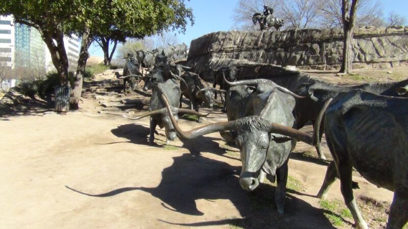 Dallas: Welcome to Dallas 3-Hour Small Group Tour by Van - Tour Highlights