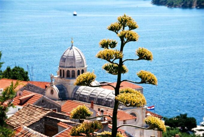 Dalmatian Delights: Food & Wine Tour From Split or Trogir - Frequently Asked Questions