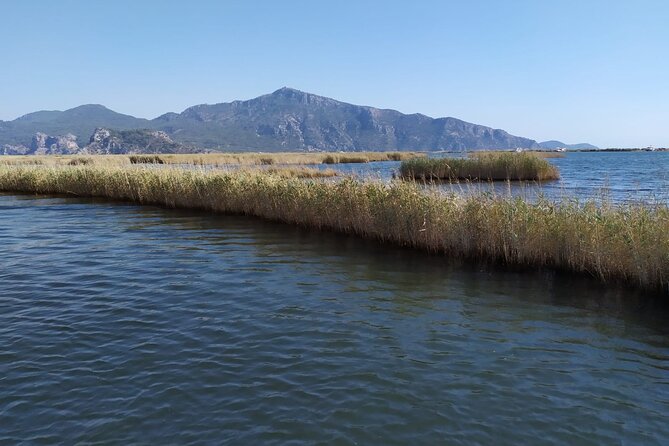 Dalyan Mud Bath and Turtle Beach From Sarigerme - Health and Accessibility