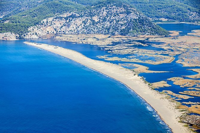 Dalyan River Cruise With Sea Turtle Watching - Reviews and Feedback