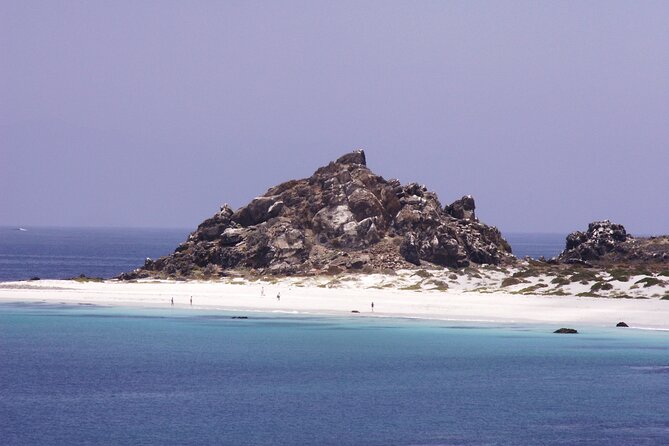 Dama Island or Chañaral Navigation Tour Humboldt Penguin Reserve - Key Points