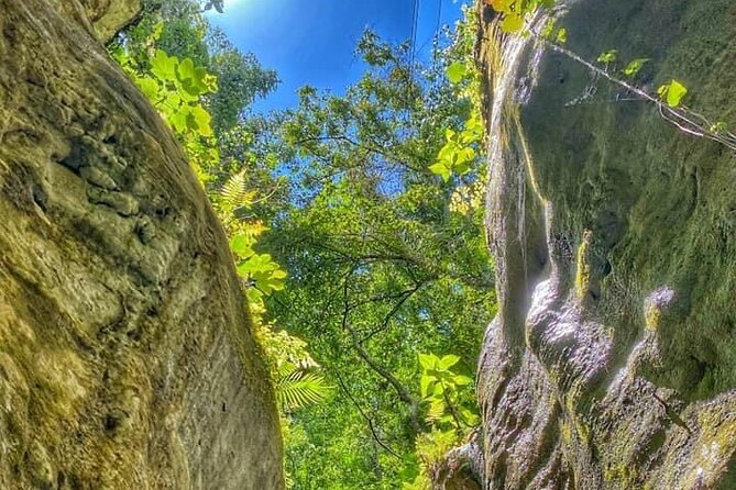 Damajagua the 7 Waterfalls Excursion - Amber Cove & Taino Bay - Positive Customer Experiences