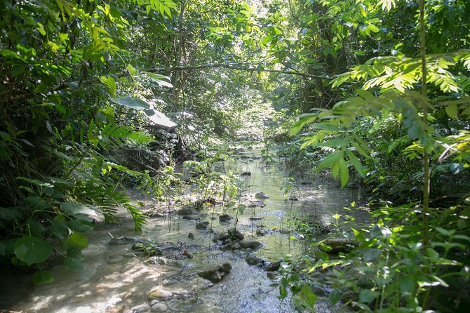 Damajagua Waterfalls Adventure - Visitor Experiences and Highlights