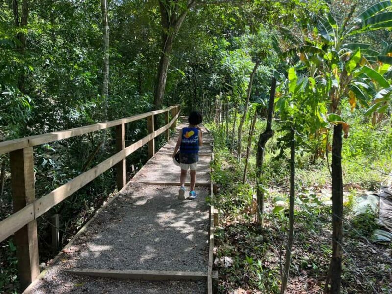Damajagua Waterfalls Private Tour with Lunch - FAQ