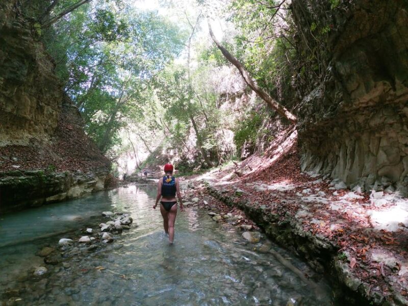 Damajagua: Waterfalls With Lunch Buffet - What to Bring
