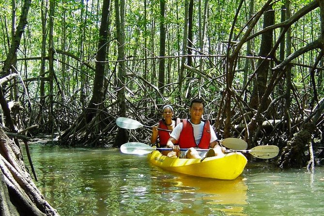 Damas Island Kayaking Tour From Manuel Antonio - Key Points