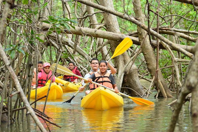 Damas Island Kayaking Tour From Manuel Antonio - Confirming Tour Details