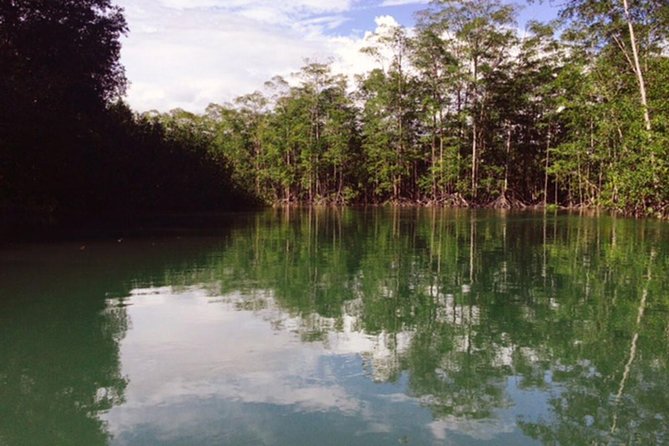 Damas Island Mangrove Boat Tour From Jaco - Tour Overview and Details