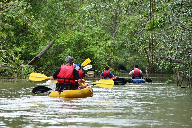 Damas Island Mangrove Kayaking Tour From Jacó - Getting to Damas Island