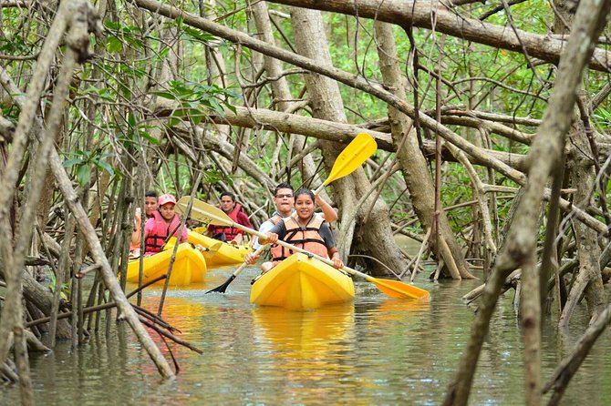 Damas Island Mangrove Kayaking Tour From Manuel Antonio - Inclusions