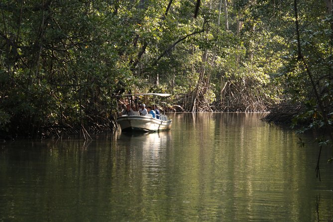 Damas Mangroove Boat Tour From Manuel Antonio - Pickup Information
