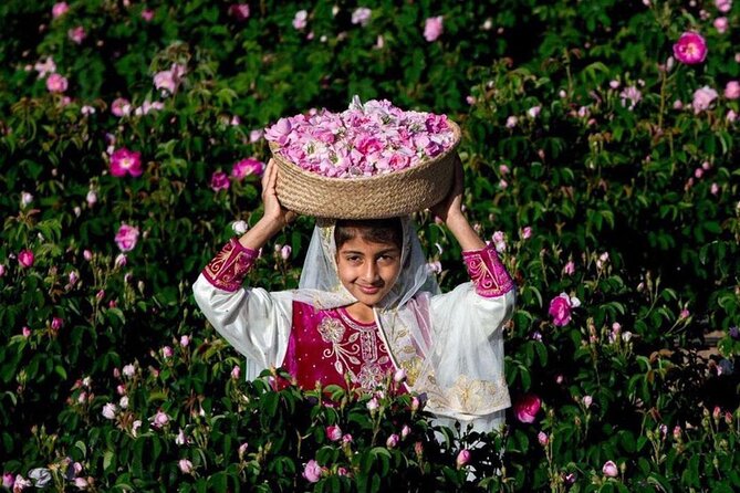 Damascus Roses - Discover the Secrets of Al Jabal Al Akhdhar - Inclusions
