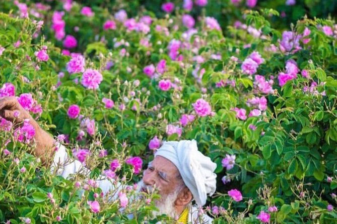 Damascus Roses - Discover the Secrets of Al Jabal Al Akhdhar - Accessibility and Participation