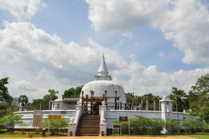 Dambulla: Anarapudra and Mihintale Day Tour - Included Services