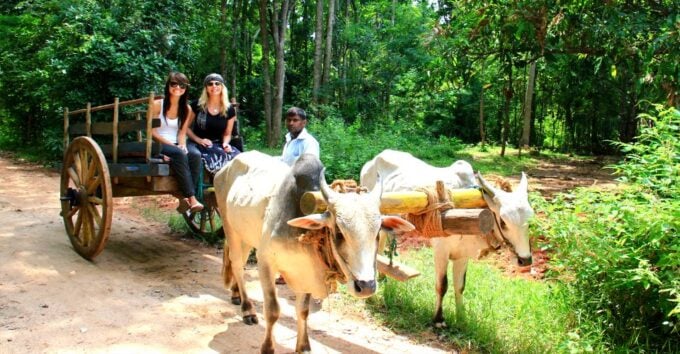 Dambulla: Cave Temple and Village All-Inclusive Tour - Village Life and Activities