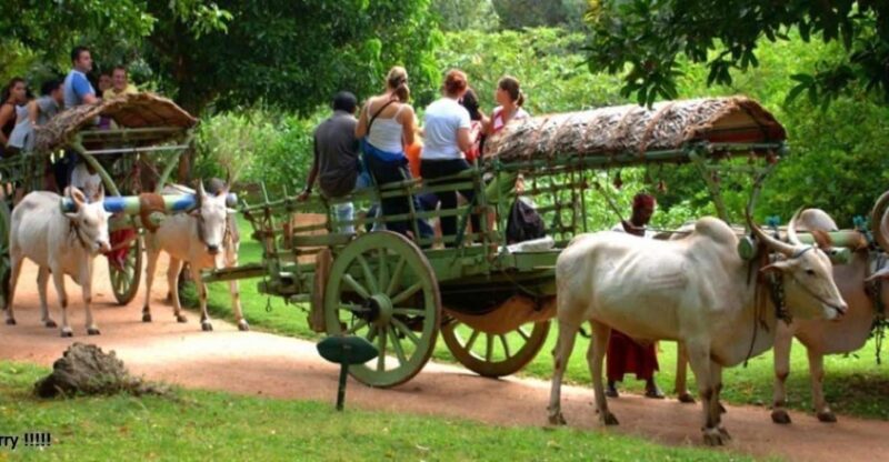 Dambulla: Caves Temple & Traditional Village Tour With Lunch - Dambulla Cave Temple