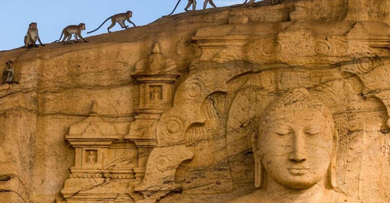 Dambulla: Polonnaruwa & Sigiriya All-Inclusive Tour - Key Points