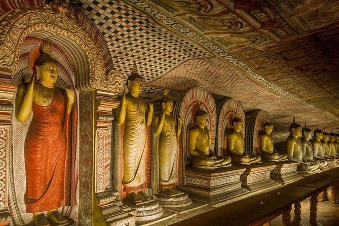 Dambulla & Sigiriya Day Tour From Colombo / Negombo With Lunch - Wildlife Viewing at Minneriya National Park