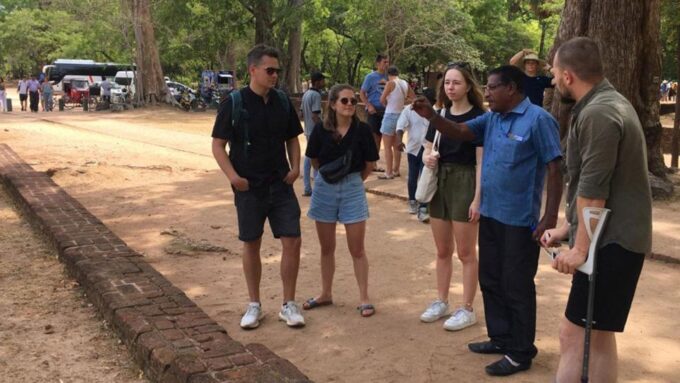 Dambulla/Sigiriya: Polonnaruwa & Minneriya Park Jeep Safari - Return Journey
