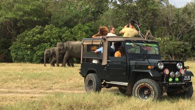 Dambulla/Sigiriya: Polonnaruwa & Minneriya Park Jeep Safari - Important Considerations