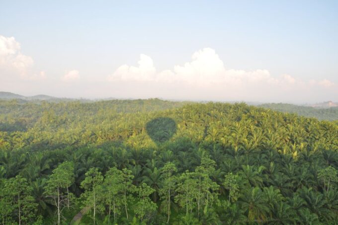 Dambulla: Sunrise Hot Air Balloon Tour - Scenic Flight Itinerary
