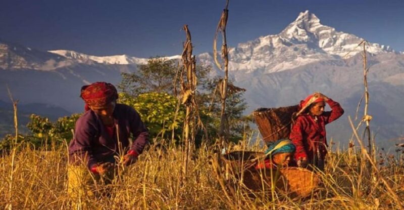 Damphus Sunrise Over The Himalayas: 4 Hours Tour - Itinerary Details