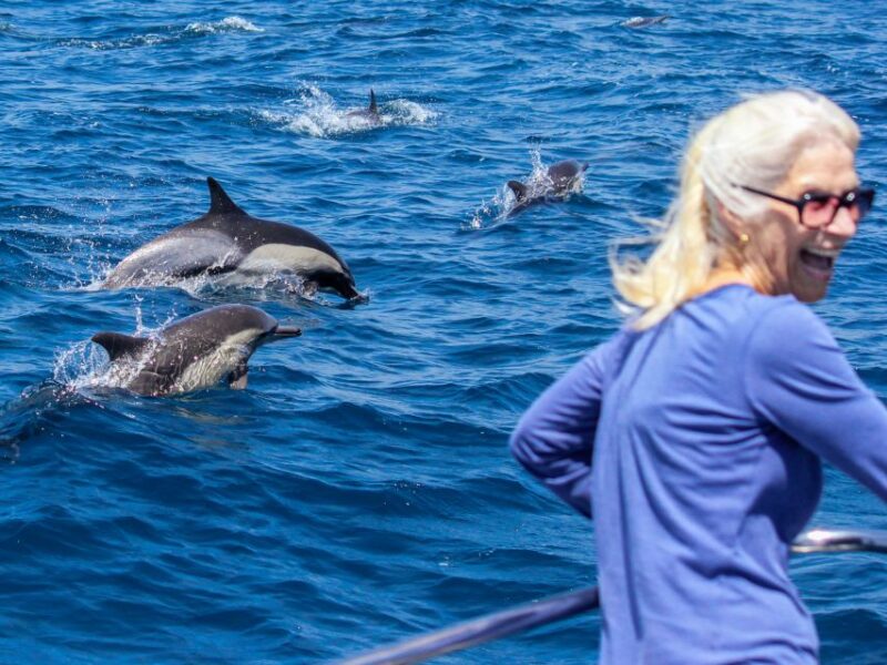 Dana Point Dolphin & Whale Watching With Underwater Viewing - Important Considerations