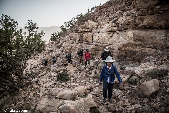 Dana to Petra Trek (Group) - Included Amenities