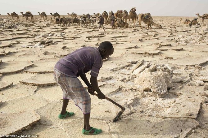 Danakil Depression And Lalibela 5 Days Tours - Pricing and Cancellation Policy